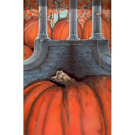 Rising, Setting and Zenith