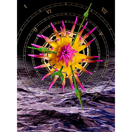 Solaris